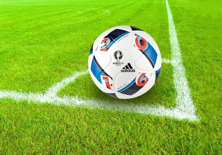 football, nature, ball, sport, grass, field, soccer field, football field, soccer, soccer ball, ball sport, ball game, play, playing field, corner, eckpunkt, adidas